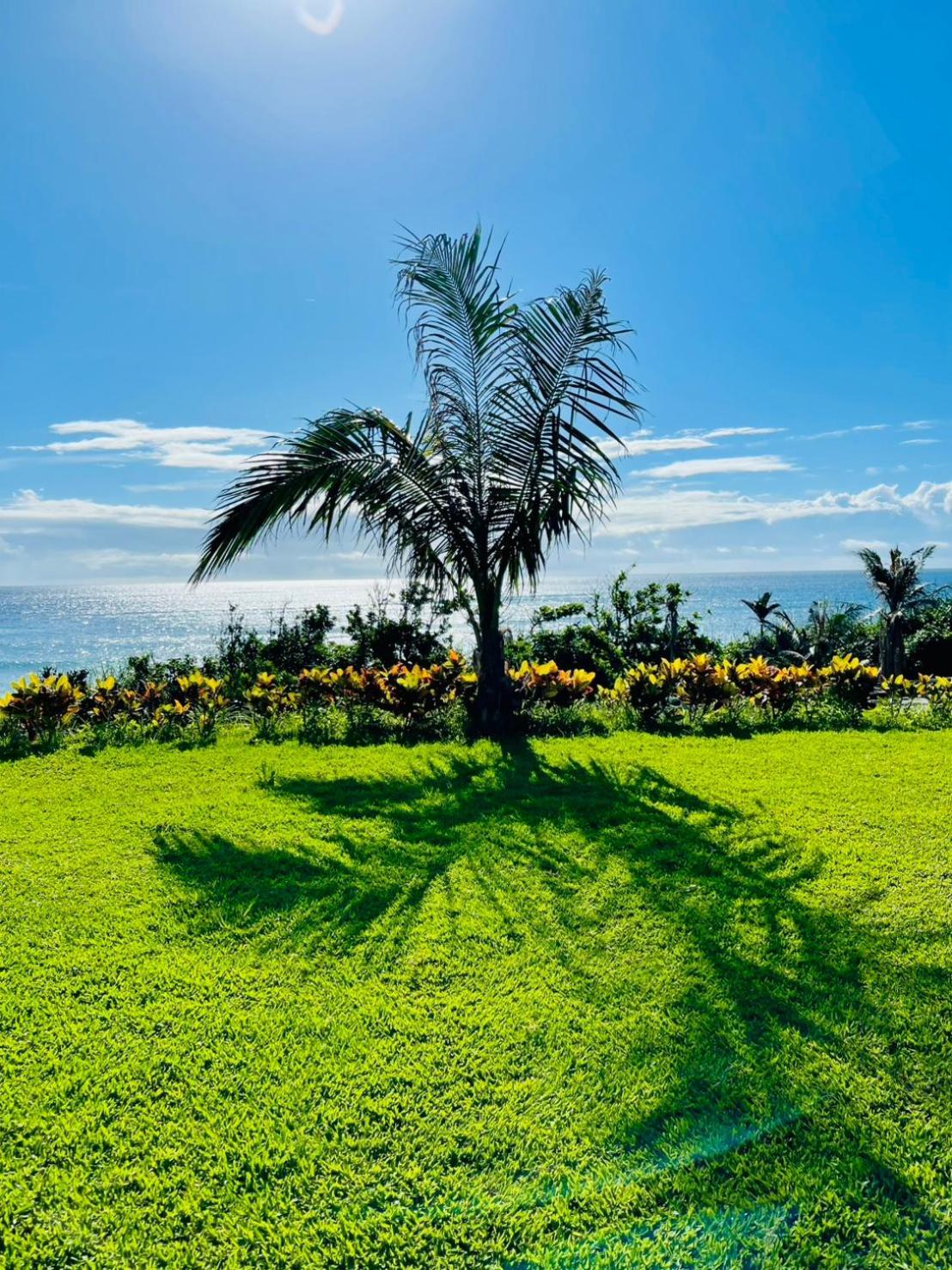 צ'נגונג Taitung Blue Sea Villa מראה חיצוני תמונה